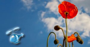 Lire la suite à propos de l’article 42 – A l’ombre des METAR en fleurs
