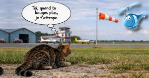 Lire la suite à propos de l’article 79 – Manche à air, que dis-tu encore ?