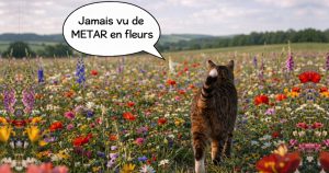 Lire la suite à propos de l’article 83- Altimétrie 2