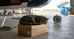 Lire la suite à propos de l’article 88 – Par le truchement d’une boîte à chaussures