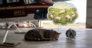 Lire la suite à propos de l’article 89 – A saute-moutons sur les fréquences – 1 ère partie