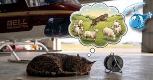 Lire la suite à propos de l’article 90 – A saute-moutons sur les fréquences – 2 ème partie